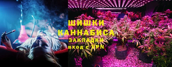 прущие грибы Заволжск