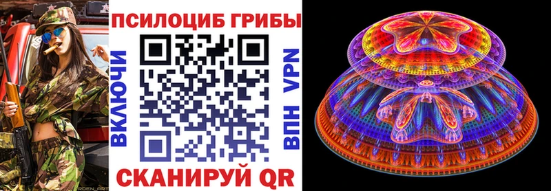 купить наркотики цена  Ликино-Дулёво  Псилоцибиновые грибы Psilocybine cubensis 